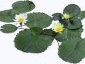 _yapfiles.ru (16)