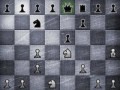 Шахматы(chess).swf