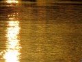 sunset-gold-backgrounds-golden-water-36402