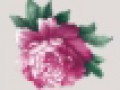 _4_arnusha