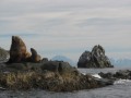 IMG_4908