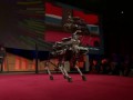 Advanced Robot Dog Surprises Crowd!