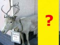 tnа