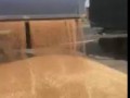 Разгрузил зерно