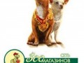 динозаврик15