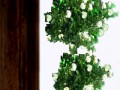 0_1328b8_84ea416f_L