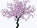 14702236.1png