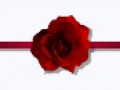 _4_arnusha