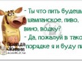 539a00aa978d93ca5a28f36b04d6efac