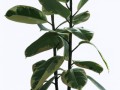 c144e6b44ad2_yapfiles.ru