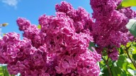 20260604_134720 копия