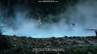 Magnolia - Training Frogs