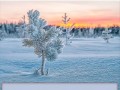 ВЕРХ