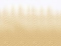 sand1++