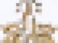 _12_arnusha