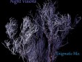 www.bestmusica.ru - Wind Of Buri - Night Visions (Enigmatic Mix) (2015)