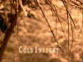 Cold Insight - I Will Rise