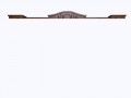 sl_anf