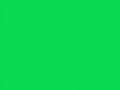Малахитовый	#0BDA51	11	218	81