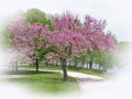 0001_hatternelk_tajkep(2)