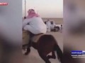 Тучный мужчина в Саудовской Аравии едва не раздавил коня