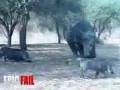 Злобный носорог