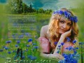 Букет из синих васильков