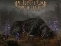 Perpetual Night - Antimatter