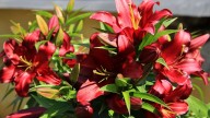 IMG_8883 копия