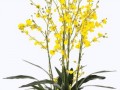 pngwing.com (6) (1)