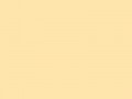 Медовый	#FEE5AC	254	229	172
