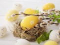 Easter_Eggs_Branches_480603