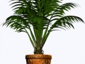 0_a1b70_f62ce7f9_L_yapfiles.ru