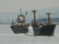 DSCN1981
