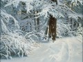 ВЕРХ