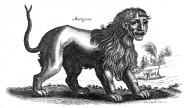 Martigora_(22296312)