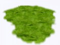 21351725_yapfiles