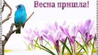Весна пришла!