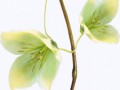 0_cb467_80731069_orig