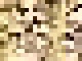 17648448