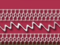 НИЗ