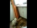 Who is there? / Да кто же там сидит?