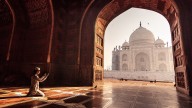 Taj_Mornings