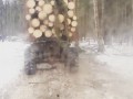 Вывоз леса
