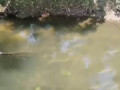 Стоки в Безенчуке