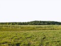 panorama_sura_071