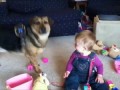 Babies Laughing at Dogs Supercut
