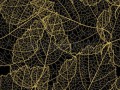 black-beautiful-vintage-swirl-abstract-gold-card-vector-eps-8-for-brochure-wallpaper-background-back