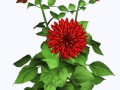 184694843-min