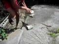 Толпа дебилов кидает камни в крокодилов